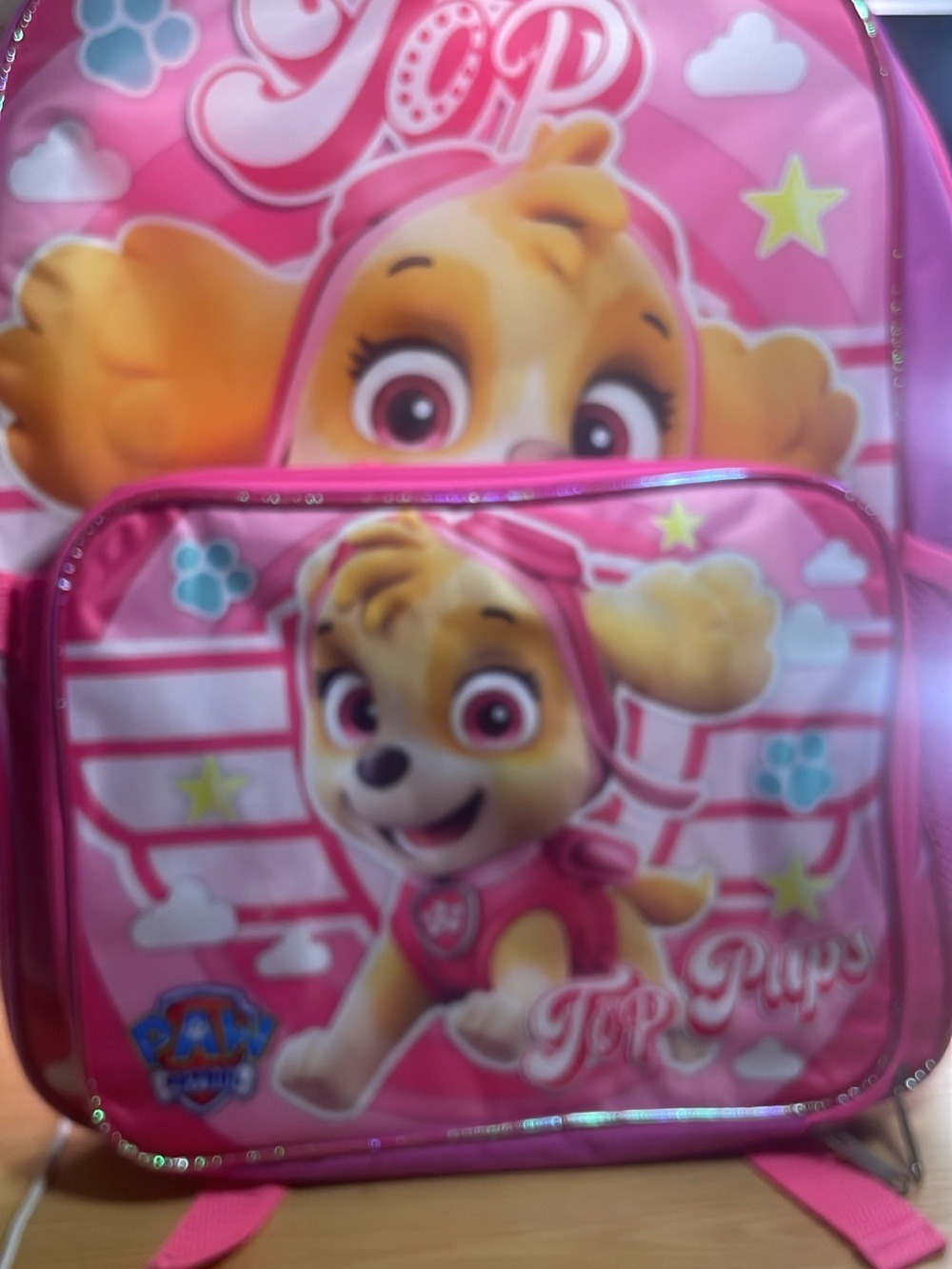 Paw Patrol Skye Bright Pink Kids Backpack with Lunchbag Character Print